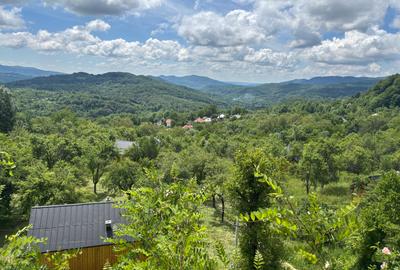 Casa de vacanta Nucsoara-Arges - 1