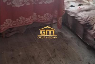 Casă cu teren 1.149 mp, vie și pomi fructiferi Nicolae Bălcescu - 6