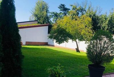 VANZARE VILA IANCU NICOLAE PIPERA VOLUNTARI - 25