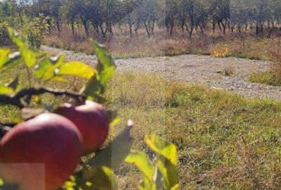 Teren intravilan, 617 mp, zona Evergreen - 5