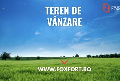 Teren extravilan de 20720 mp, în Teliucu Inferior