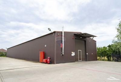 Proprietate industrială 5 hale, teren 21,105 mp, Santion, - 4