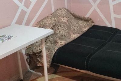Garaoniere pentru muncitori, rahova - 12
