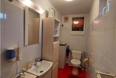 Casa tip Parter, amprenta 346 mp, teren 7241 mp, POGOANELE - 16
