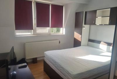 Apartament cu 2 camere, DECOMANDAT, zona Centru-Palas Campus - 11