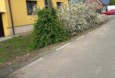 Casă individuală cu 4 camere în Macea