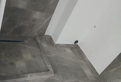 Apartament nou, 1 cameră, Băile Felix.  80 000 E. Comision 0 - 9