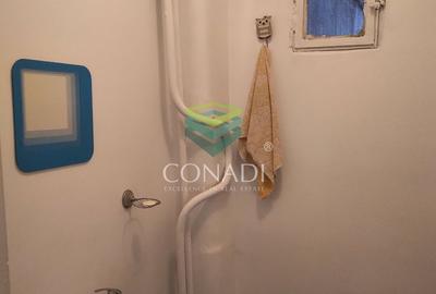 Inchiriere apartament 3 camere Drumul Taberei - Valea Ialomitei - 15