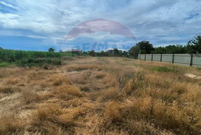 Teren intravilan 1.400 mp de vânzare | Costache Negri, Galați - 4