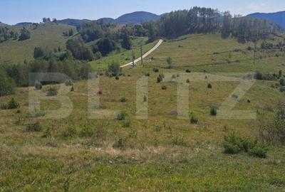 Teren Construcții extravilan de 4604 mp, în Exterior Nord