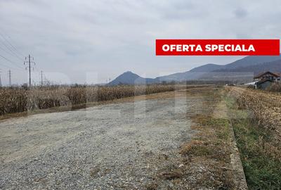 Teren Construcții intravilan de 2600 mp, în Șoimuș