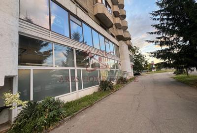 Spațiu comercial 820 mp de închiriat – Calea Aradului - 11