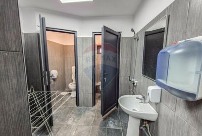 Hala 700mp, deschidere 9m, poductie, depozitare Pipera Plaza - 3