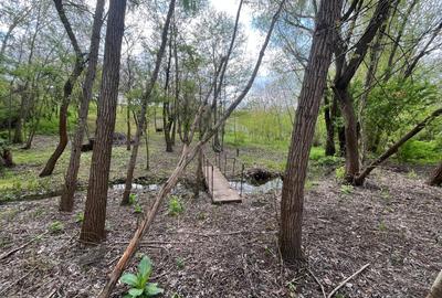 Teren Construcții intravilan de 2117 mp, în Malu Mare