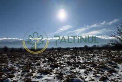 Teren agricol extravilan de 3600 mp, în Exterior Sud