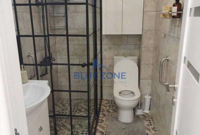 2 camere | Piața Iancului | 55 mp | Renovat complet | Metrou - 3