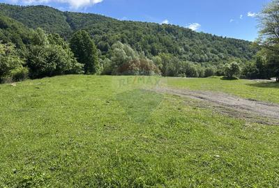 Teren 1,340mp Cuejdiu / Strada Cuejdiului - 2