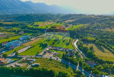 Teren intravilan 7.660 mp lângă Bran, panoramă 360°, comision 0% - 15