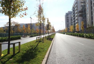DRUMUL TABEREI | 3 CAMERE | PARTER | CURTE PROPRIE 57MP| 2 BAI | COMISION 0% | - 31