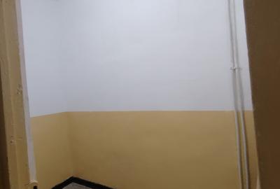 Spatiu comercial, zona ultracentrala - 9