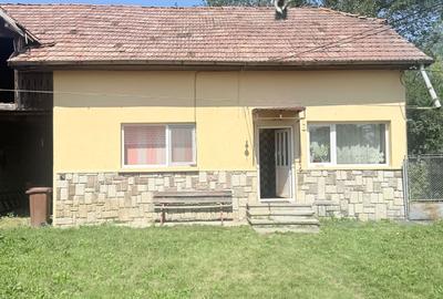 Casa interbelică cu arhitectură deosebită+Anexa și teren 1570 mp - 3