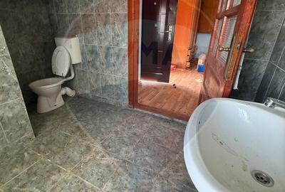 Casa de vacanta cu 8300 mp teren, de vanzare in Preluca Noua!! - 7