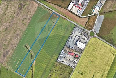 Teren comercial 5 ha, PUZ aprobat, acces direct Centura Nord Arad - 9