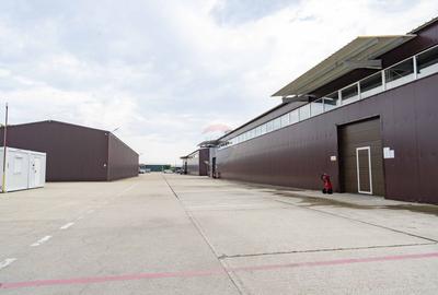 Proprietate industrială 5 hale, teren 21,105 mp, Santion, - 9