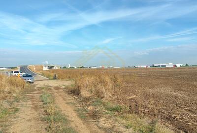 Teren agricol extravilan de 40000 mp, în Central
