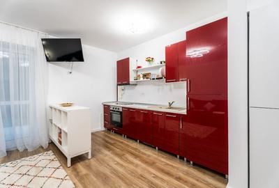 Studio cu gradina în Sinaia-Ideal pentru locuit sau investiție în regim hotelier - 6