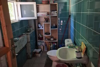 Apartament 1 camera-Gradina privata-Parcul Copou - 2