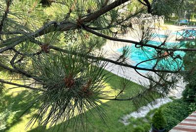 COMISION 0%! CORBEANCA-PARADISUL VERDE,VILA P+1,5 CAMERE,PISCINA/GARAJ - 4