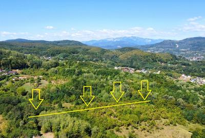 Teren Construcții intravilan de 4849 mp, în Morilor