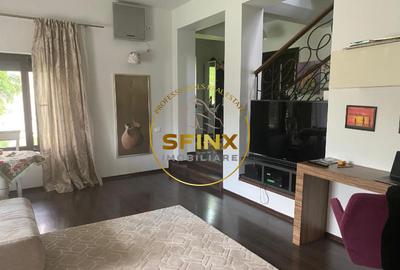 Aparatorii Patriei, aproape de metrou, vila moderna cu gradina, pet friendly - 4
