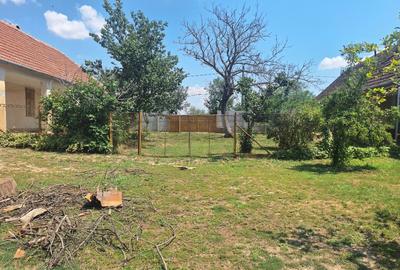 Vand doua case cu teren livada nuci si pruni - 12