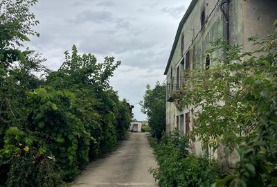 Complex industrial/Ferma de vânzare | Orțișoara, jud. Timiș - 7
