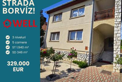 Casă familială de vânzare în Sfântu Gheorghe, pe strada Borvíz! - 1