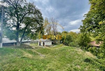 Vila Zoldy, 21.823 mp teren cu iesire catre paraul Prahova - 9