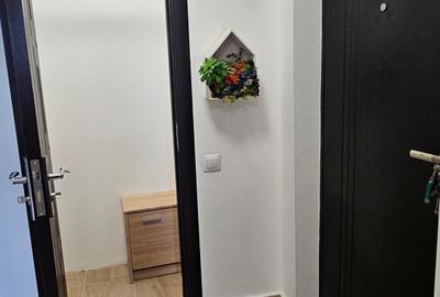 Apartament 2 camere de inchiriat Cismigiu - 10
