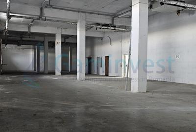 Spațiu industrial, de 609.00 mp, în Borș