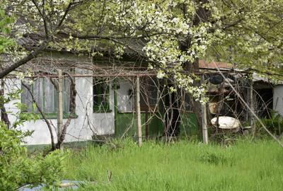 CASĂ TRADIȚIONALĂ CU GRĂDINĂ GENEROASĂ ȘI VIE – ISACCEA, JUD. TULCEA - 1