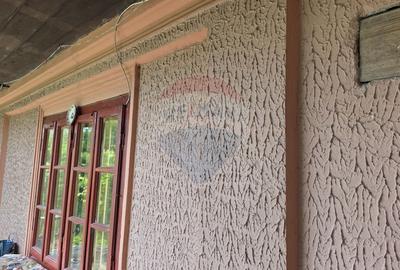 Domeniu rural, gospodarie/multifunctionala cu casa, livada, vie - 41