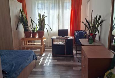 Ap 1 cam, 21 mp, Pitesti, Prundu, Academica, etaj 2, renovat, mobilat 26000 euro - 1