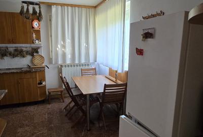 Vanzare vila P+1+M cu 5 camere, casa batraneasca , 2 garaje, teren 9249mp, - 13