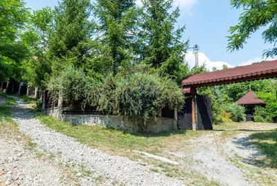Vanzare vila-pensiune D+P+M 10 camere de vânzare, Daesti jud. Valcea - 59