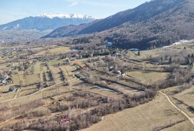 Teren intravilan Bran - Predelut - 38