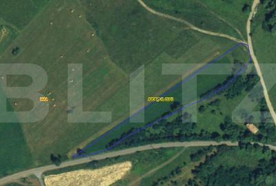 Teren agricol extravilan de 5008 mp, în Iara
