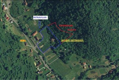 Teren, padure si casa in Dumbrava de Jos, jud. Hunedoara - 11