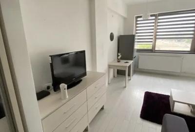 Apartament cu 1 camera tip studio in Tatarasi-Doi Baieti - 6