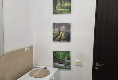 SUPERB AP. 2 CAM. SEMIDEC., ZONA LUJERULUI - 7
